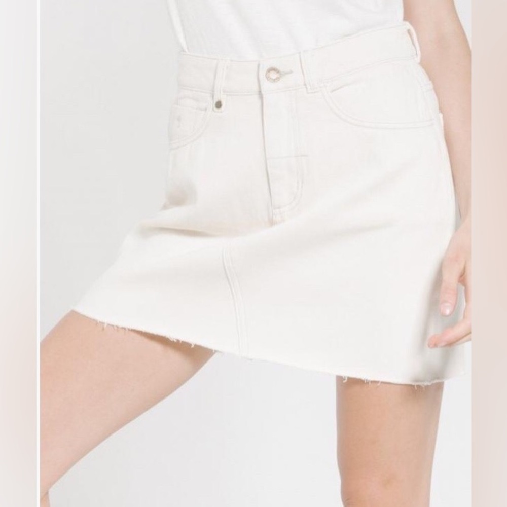 Flying Monkey Skirt